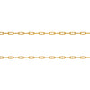 LARGE LONG LINK CHAIN