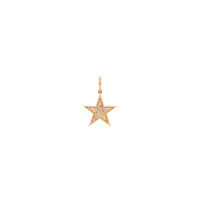 Glitter Star: A gold pendant star shape with a sparkling, glittery finish on a white background.