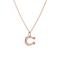 Rose Gold Horseshoe Necklace: A 14K gold horseshoe-shaped pendant with small diamond heels on a chain.