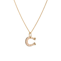 Yellow Gold Horseshoe Necklace: A 14K gold horseshoe-shaped pendant with small diamond heels on a chain.